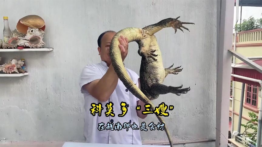 二十多斤的科莫多“三嫂”，看越南人怎么做美食，连皮和内脏也吃