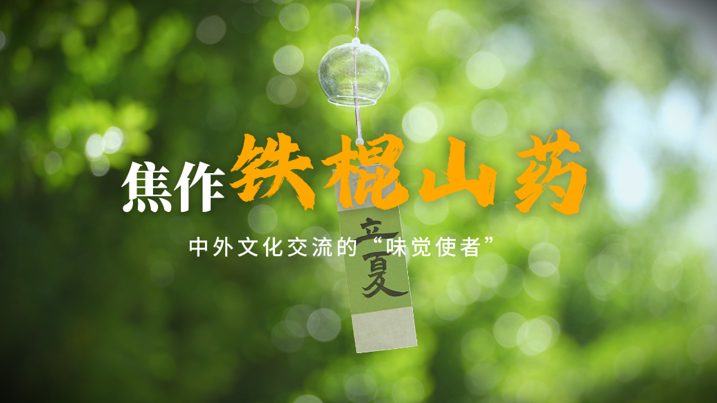 焦作铁棍山药，中外文化交流的“味觉使者”
