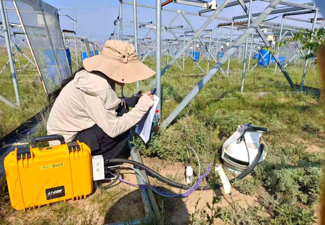团队青年进行生物结皮土壤呼吸监测