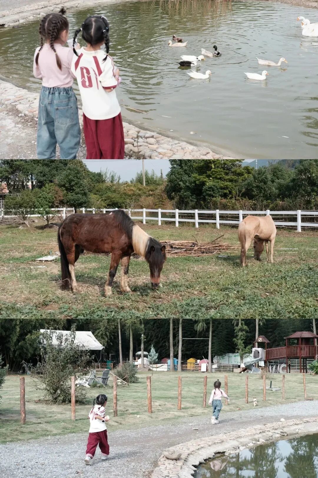 宁波周末遛娃｜亲子乡野游蘑菇农场🍄_13_爱吃芒果干_来自小红书网页版.jpg