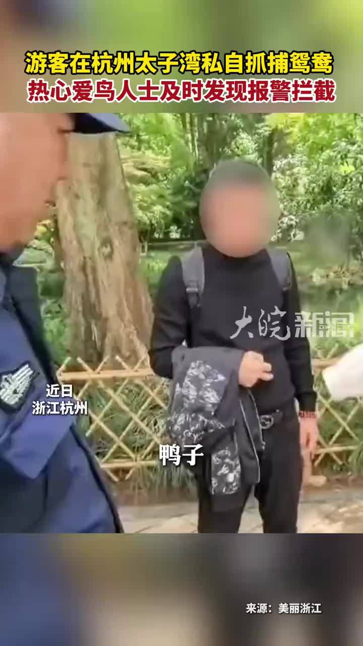 游客在杭州太子湾私自抓捕鸳鸯 热心爱鸟人士及时发现报警拦截