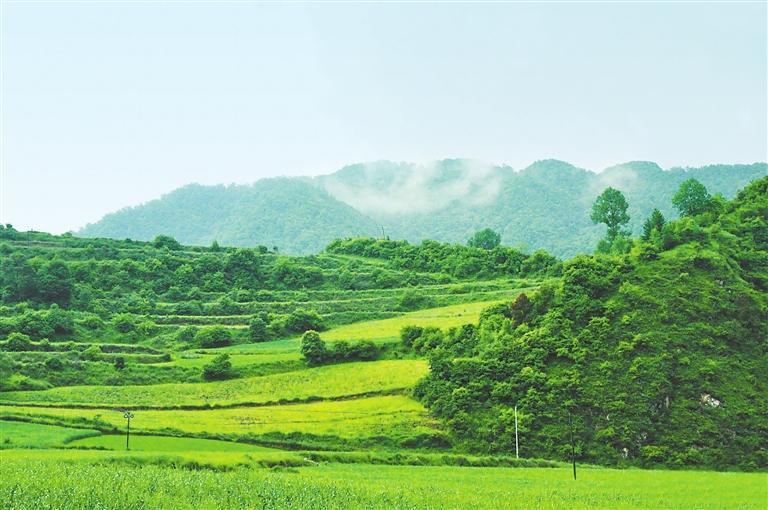 多年来检察机关不懈努力，守护着张家川的绿水青山。（资料图）