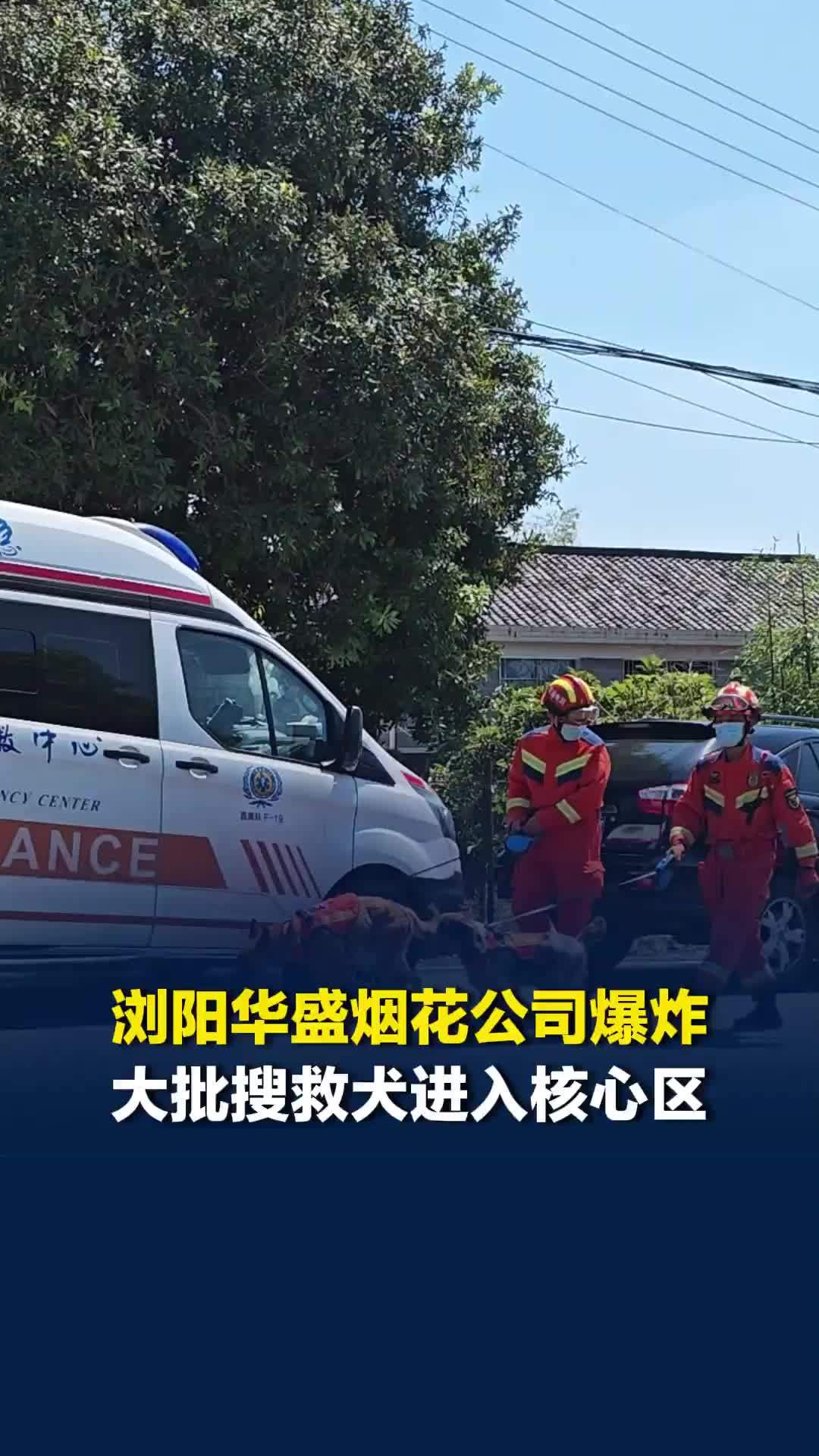 浏阳市华盛烟花公司爆炸事故；大批搜救犬进入事故核心区