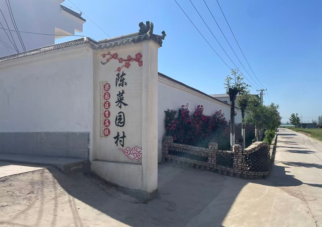 商丘市梁园区李庄镇：花开满径香盈村 和美乡村入画来