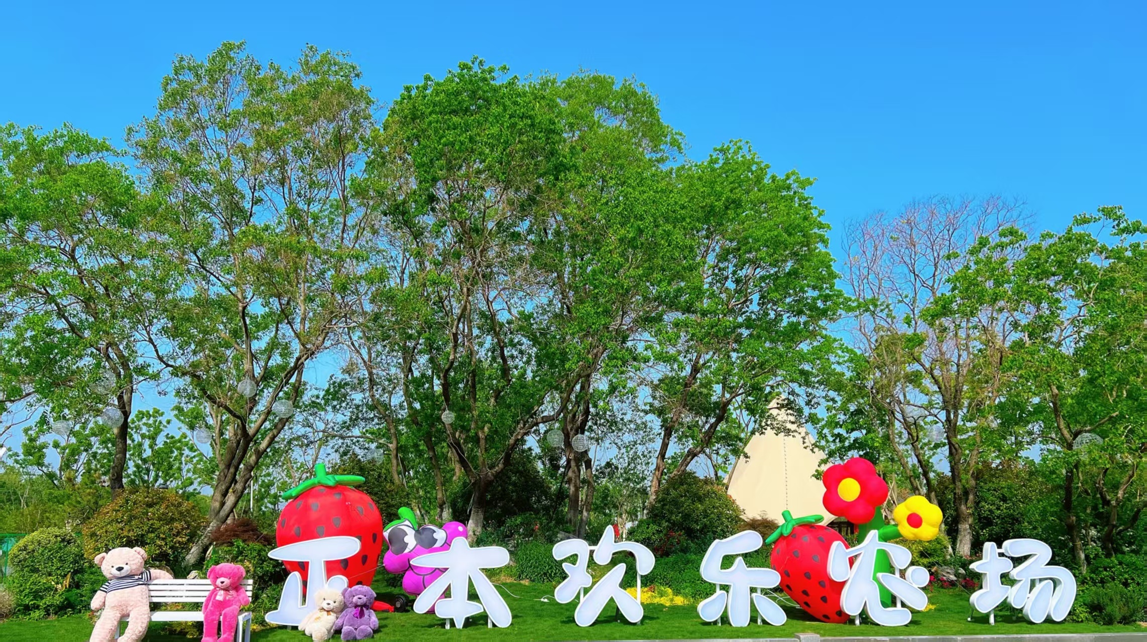 徐州农场，正在“卷”出新花样