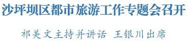 沙坪坝区委书记祁美文：锚定“文旅强区”目标聚焦“都市旅游”定位 打造世界级旅游目的地