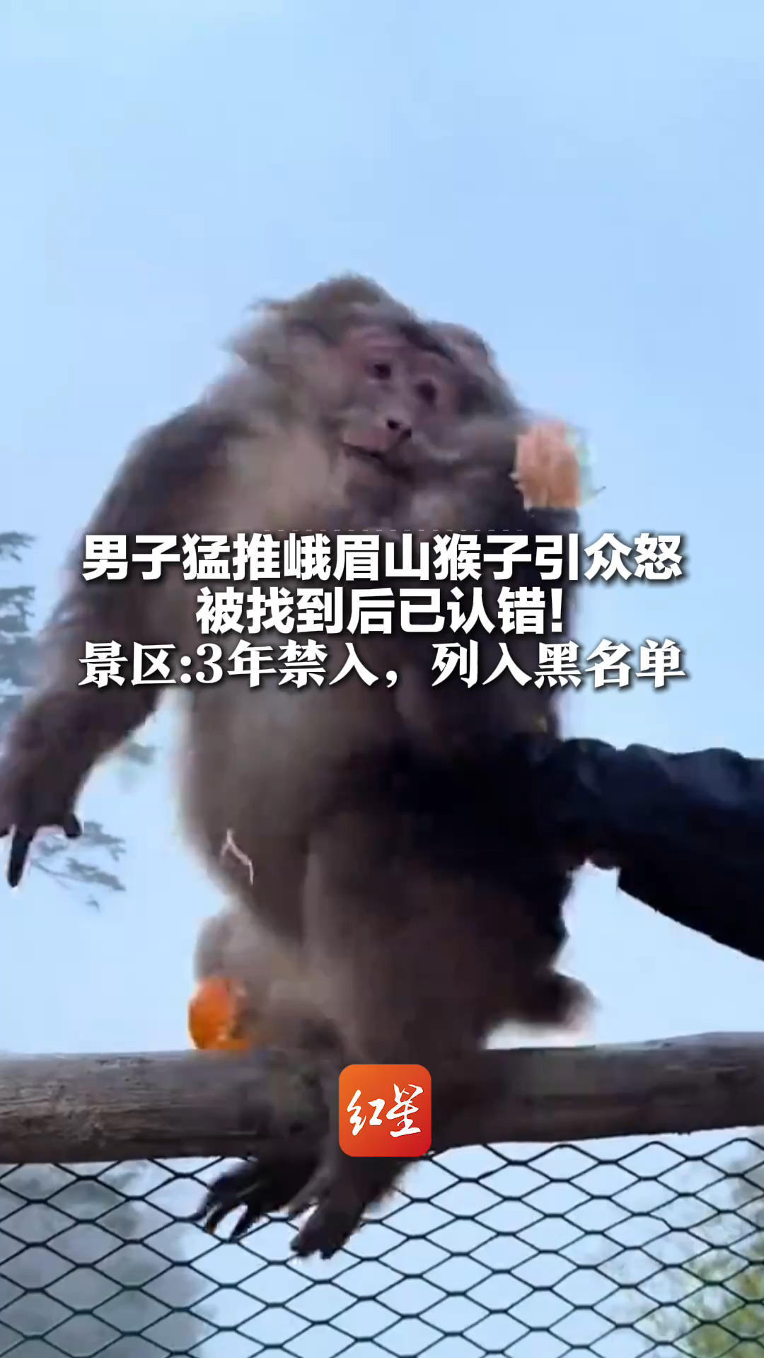 男子猛推峨眉山猴子引众怒 被找到后已认错！景区通报：3年禁入，列入黑名单