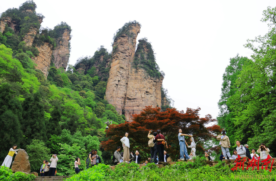 5月3日，游客在张家界国家森林公园金鞭溪景区游玩。吴勇兵 摄