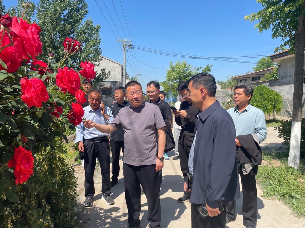 商丘市梁园区李庄镇：花开满径香盈村 和美乡村入画来