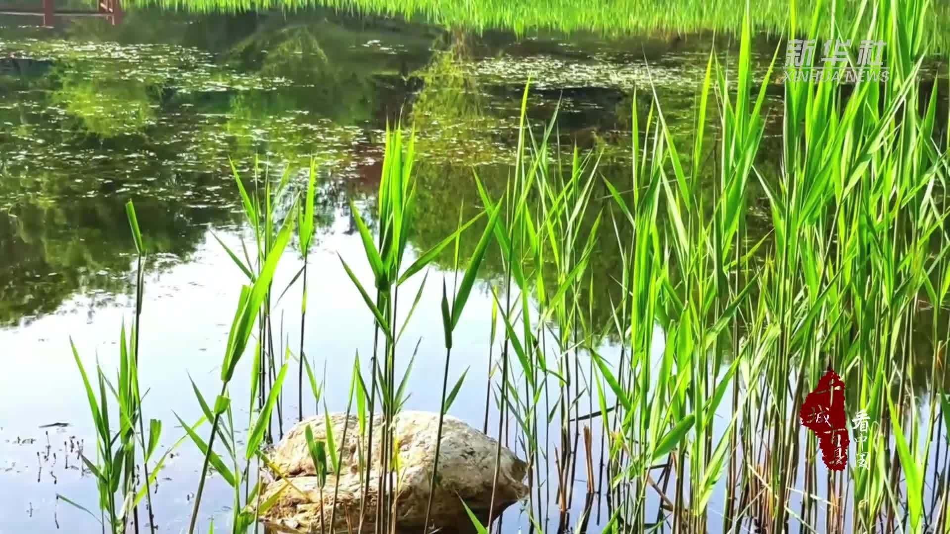 千城百县看中国｜北京顺义：浅山初夏
