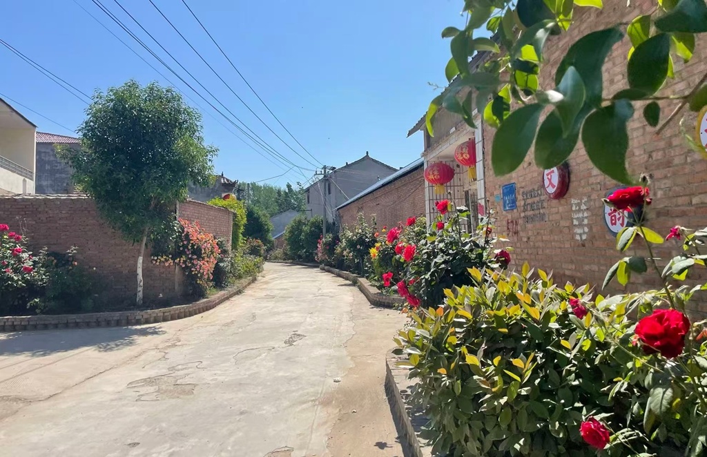 商丘市梁园区李庄镇：花开满径香盈村 和美乡村入画来