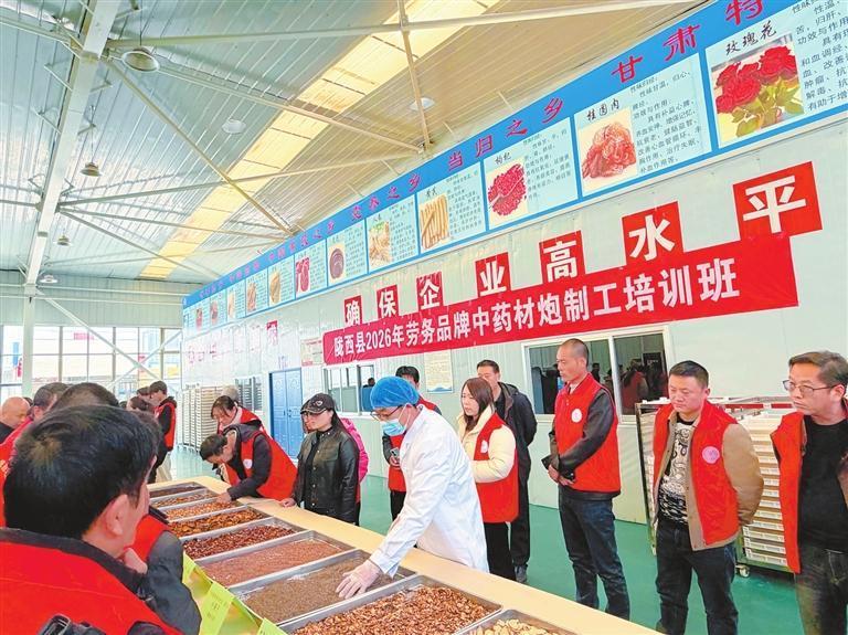 陇西县开展中药材炮制技能培训活动　新甘肃&middot;甘肃日报记者　李永萍