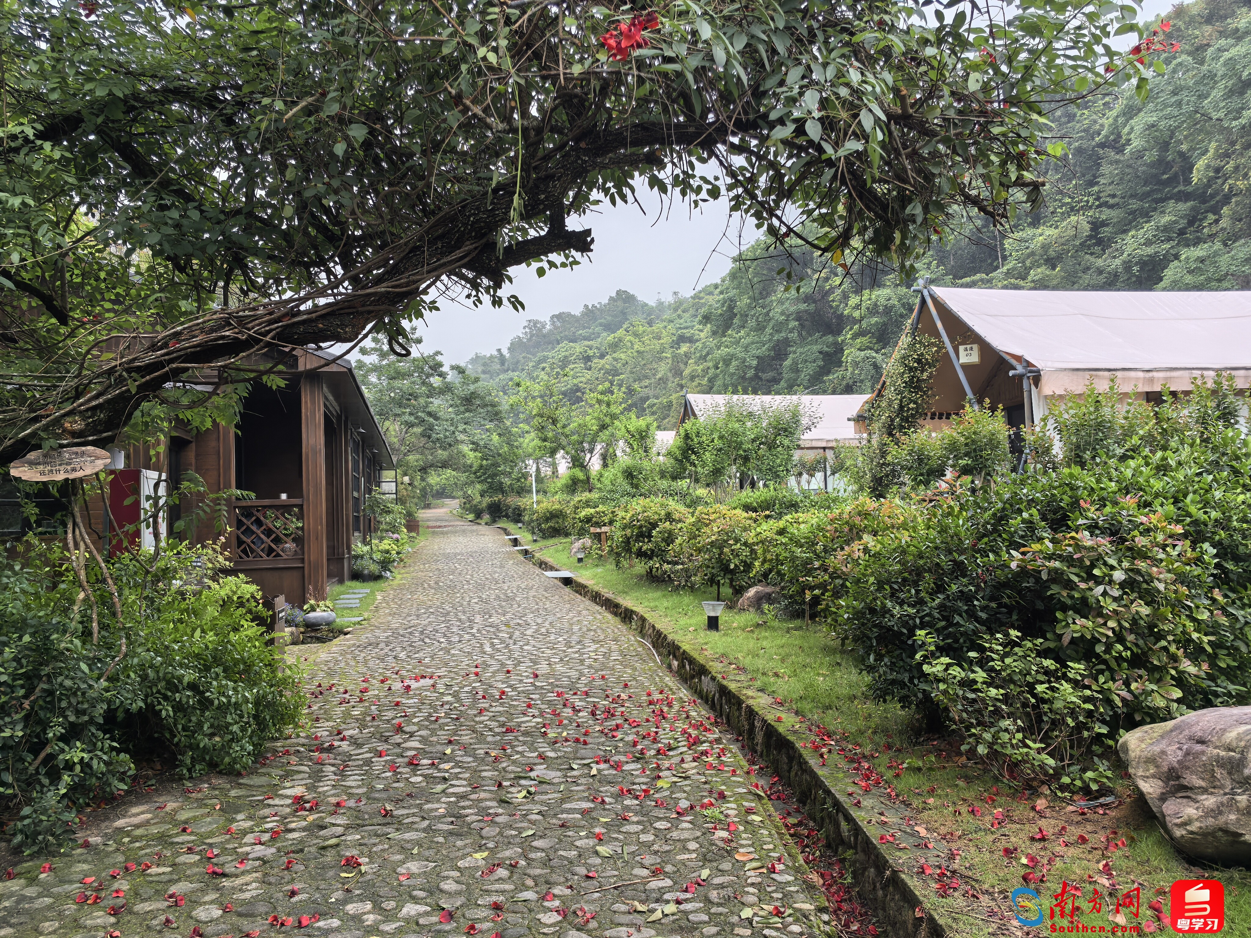 民宿主干道。张菲菲摄。