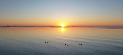 日照这幅“海上春耕图”，太治愈了