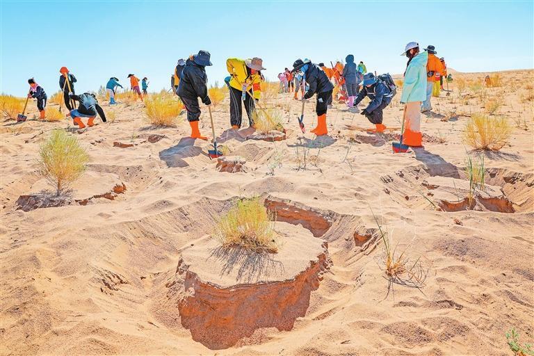 4月25日，志愿者在民勤县种林公益林基地为新种植的梭梭养护浇水。新甘肃&middot;甘肃日报记者　田蹊