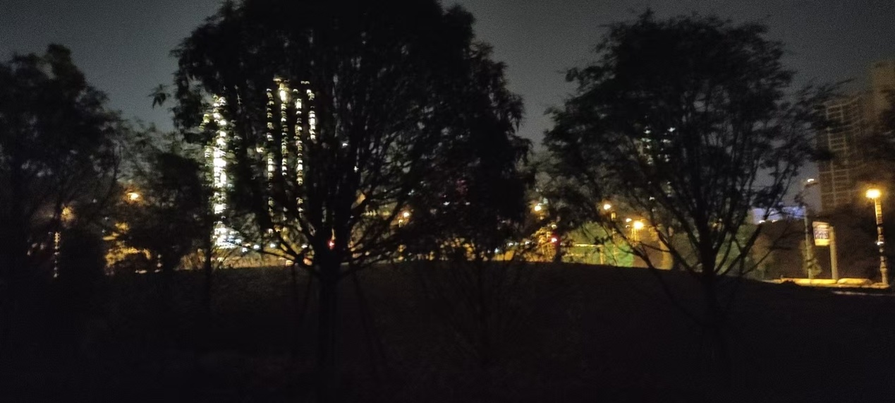 曹政伟：星夜的灯光
