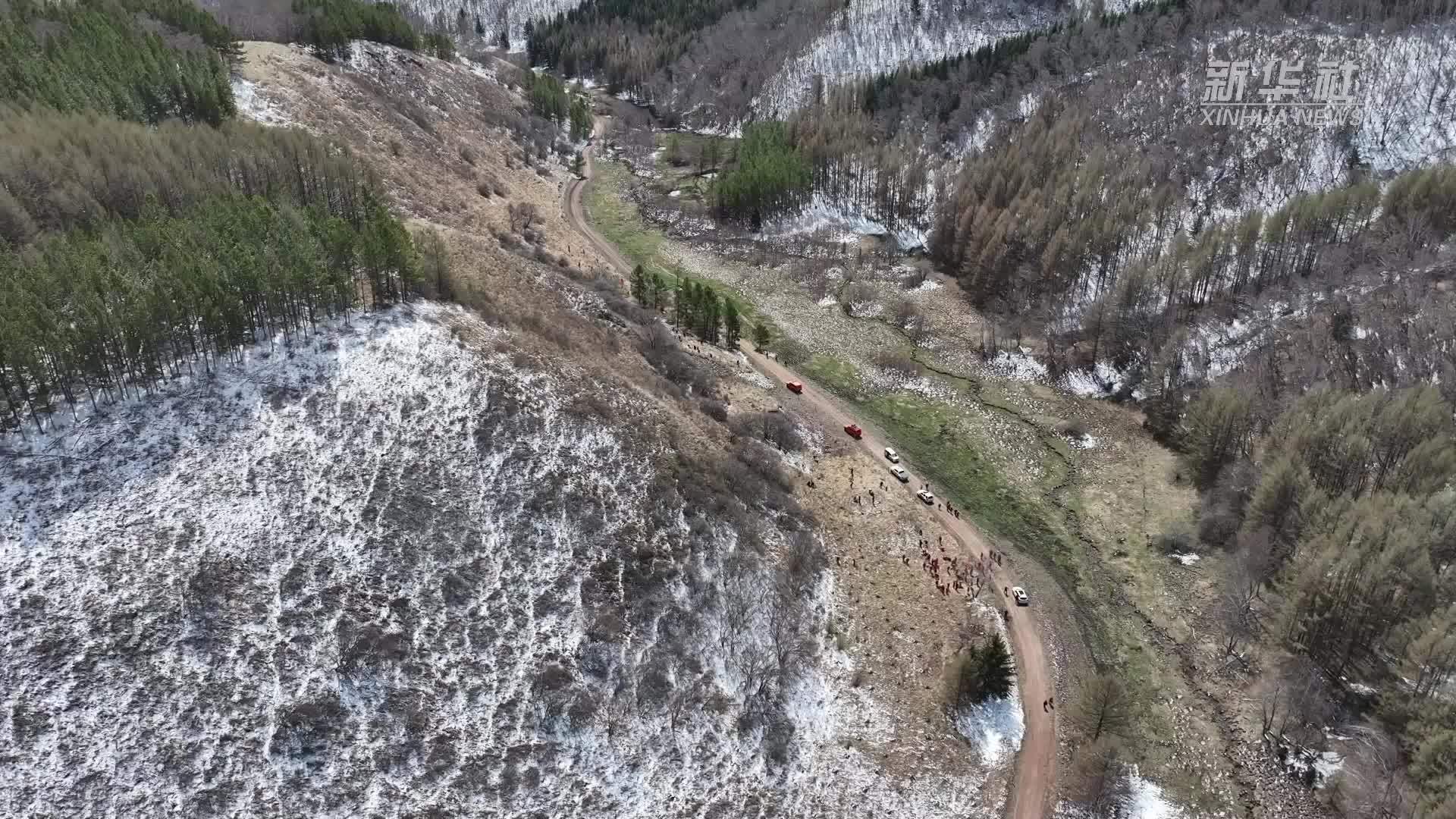河北承德：塞罕坝攻坚造林筑牢生态屏障