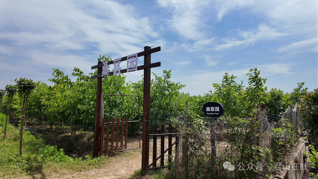微信图片_20260506151655_178_191.png