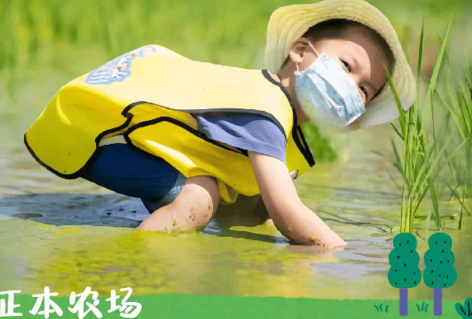 徐州农场，正在“卷”出新花样