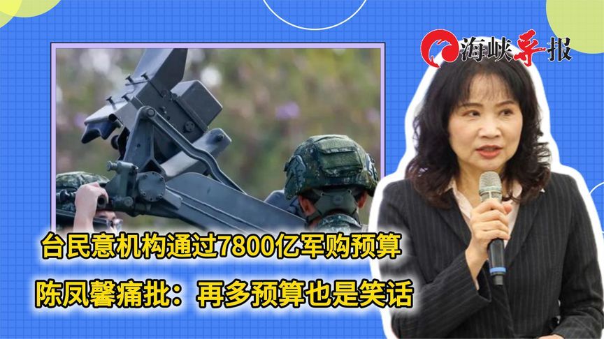 台民意机构通过7800亿军购预算，陈凤馨痛批：再多预算也是笑话