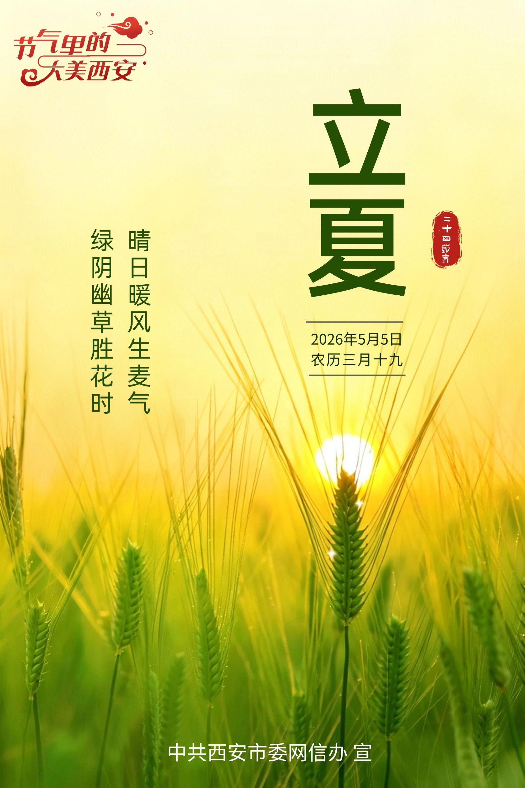 节气里的大美西安丨今日立夏 晴风日暖榴花盈