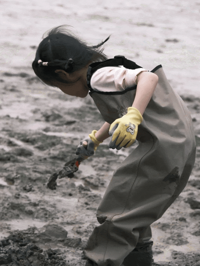 GIF_20260501093550932.GIF