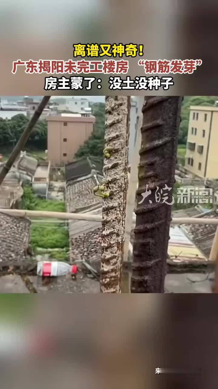 离谱又神奇！广东揭阳未完工楼房“钢筋发芽”房主蒙了：没土没种子