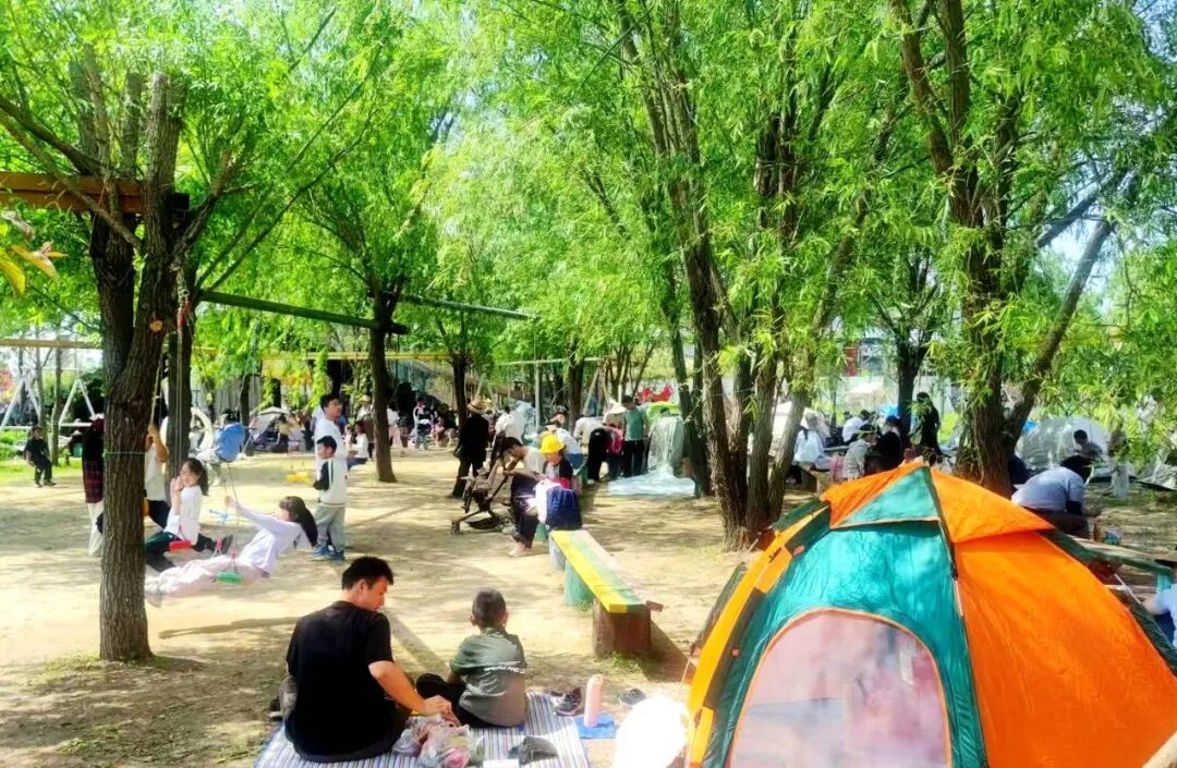 从节庆出圈到品质升级，徐州铜山乡村文旅闯出“突围之路”