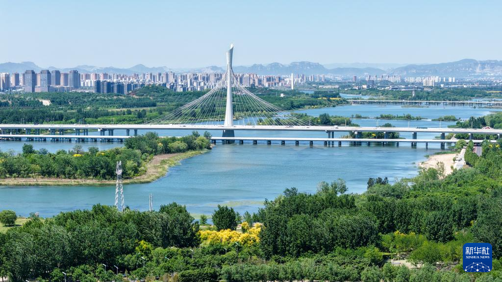 这是5月7日拍摄的石家庄市滹沱河生态区（城区段）初夏美景（无人机照片）。