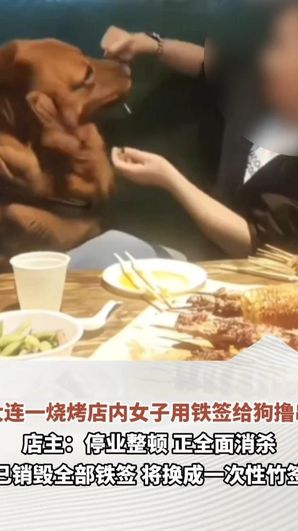 大连一烧烤店内女子用铁签给狗撸串，店主：停业整顿，正全面消杀，已销毁全部铁签，将换成一次性竹签