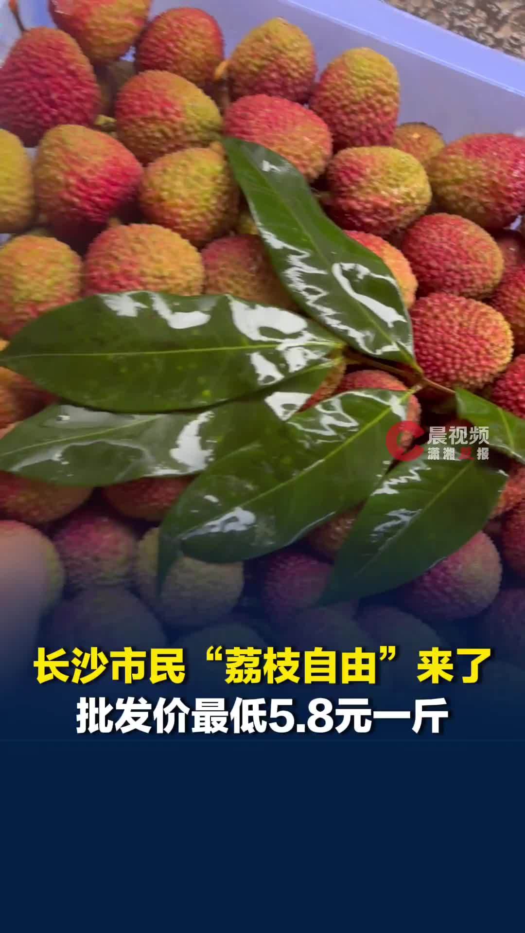 长沙“荔枝自由”来了！妃子笑荔枝批发价最低5.8元一斤，有商户日均销售18万斤