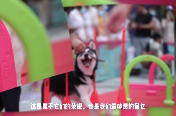 2026环亚宠物潮玩节·萌宠挑战赛燃情启幕！