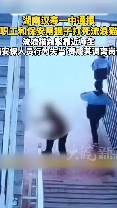 湖南汉寿一中通报“教职工和保安用棍子打死流浪猫”：流浪猫频繁靠近师生；两安保人员行为失当，责成其调离岗位