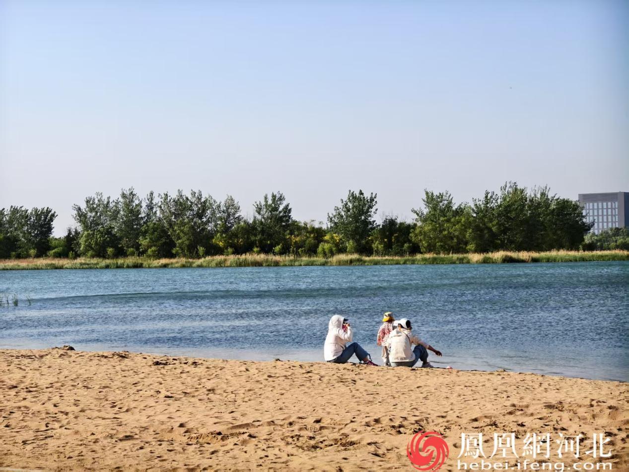 亲子静坐岸边尽享初夏美景