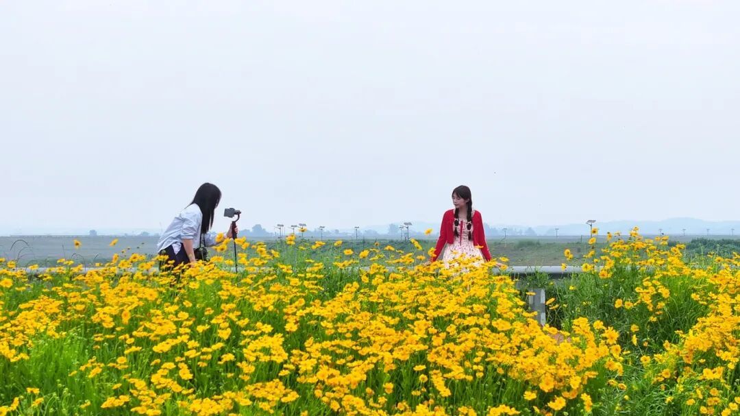 5月13日 (1)(1).jpg
