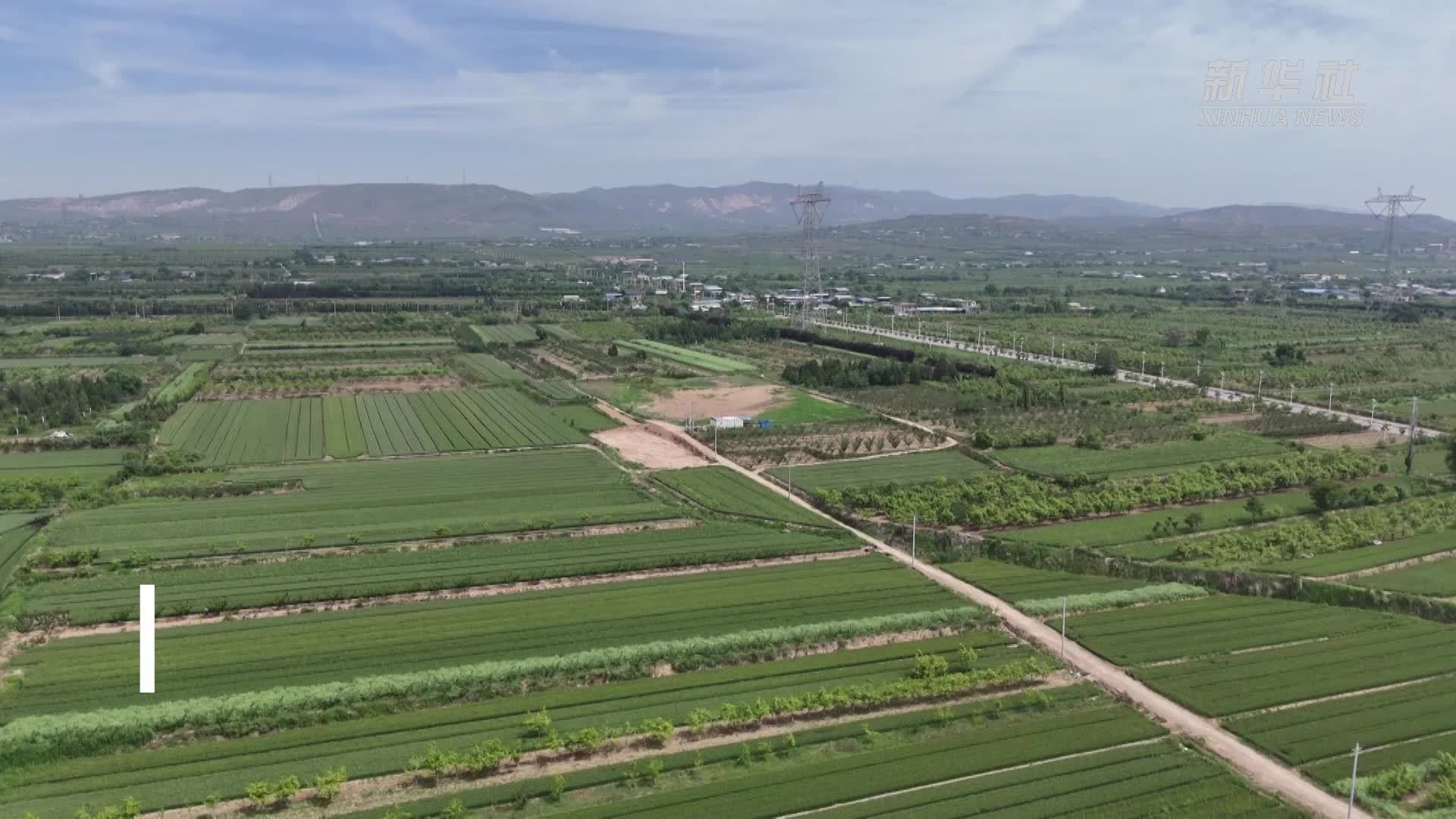 全国十大考古新发现丨长春遗址考古：西周一重要采邑被揭秘