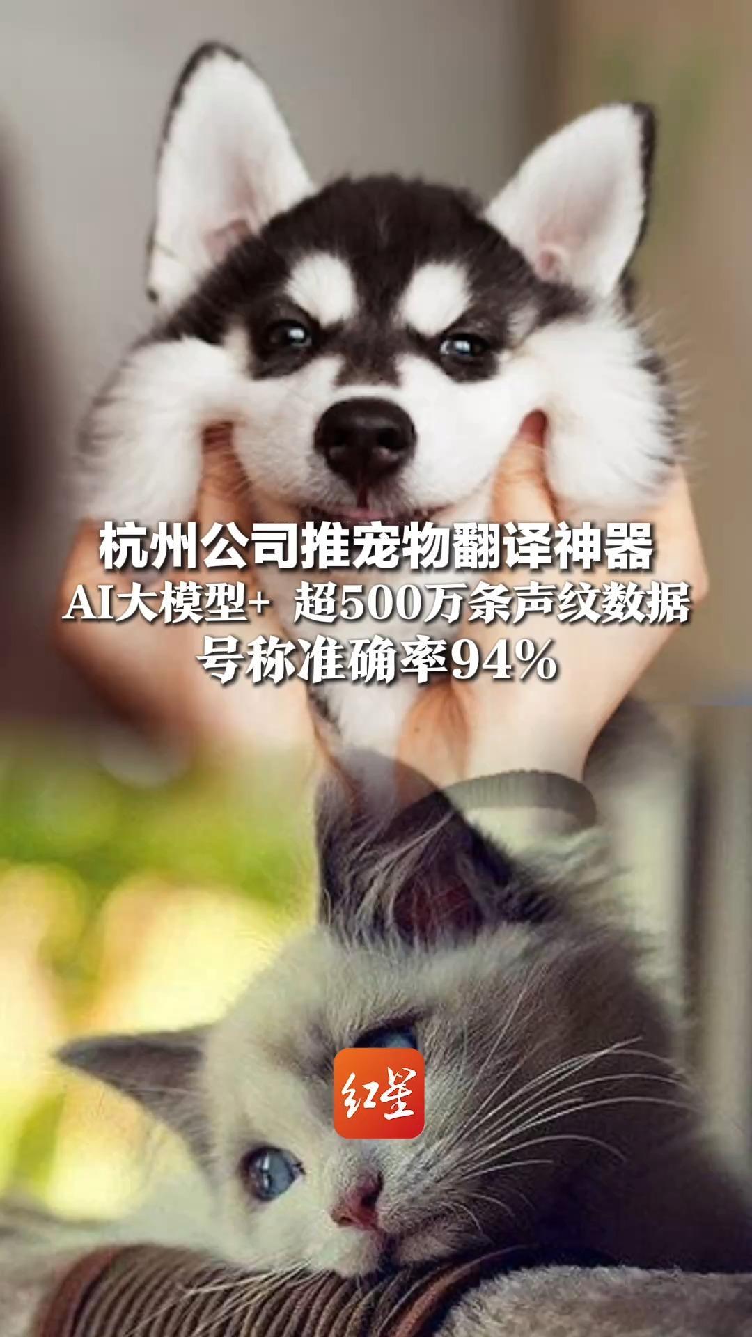终于知道它骂我啥了！杭州公司推宠物翻译神器，AI大模型+ 超500万条声纹数据，号称准确率94%