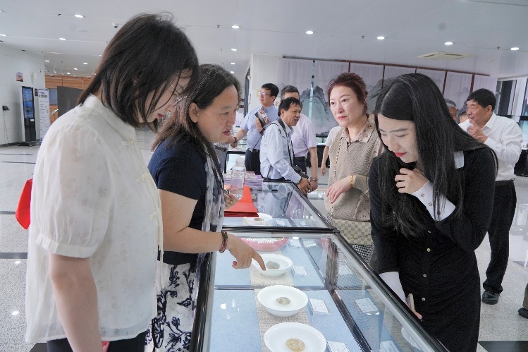 观众观展