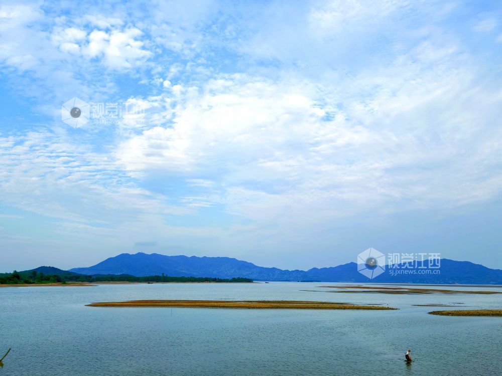 江西分宜:退水露浅滩 湖山入画来(图)