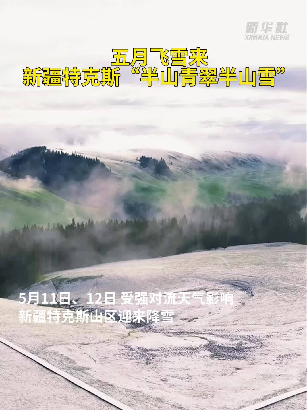 新疆特克斯“半山青翠半山雪”