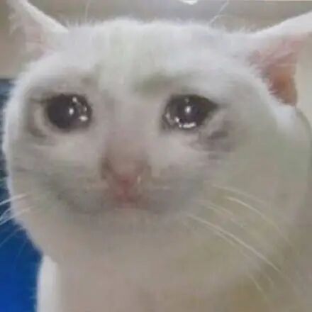 流泪猫猫头无字表情包_搜狐网