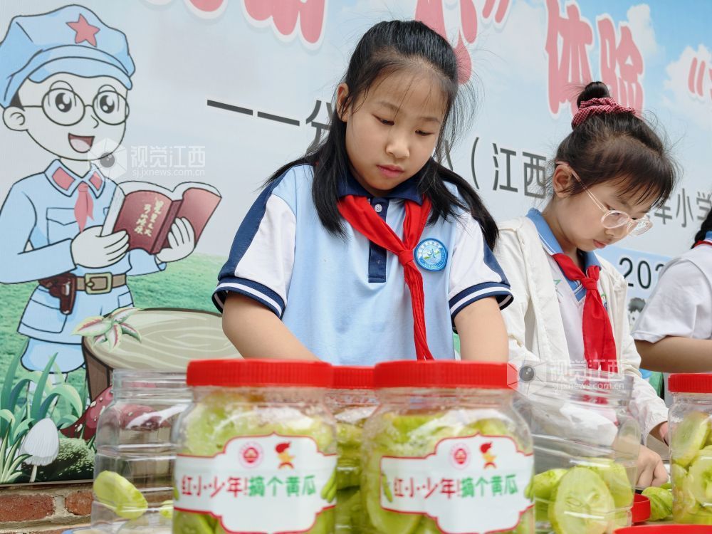 江西分宜：在田间地头赋予劳动教育新活力（图）