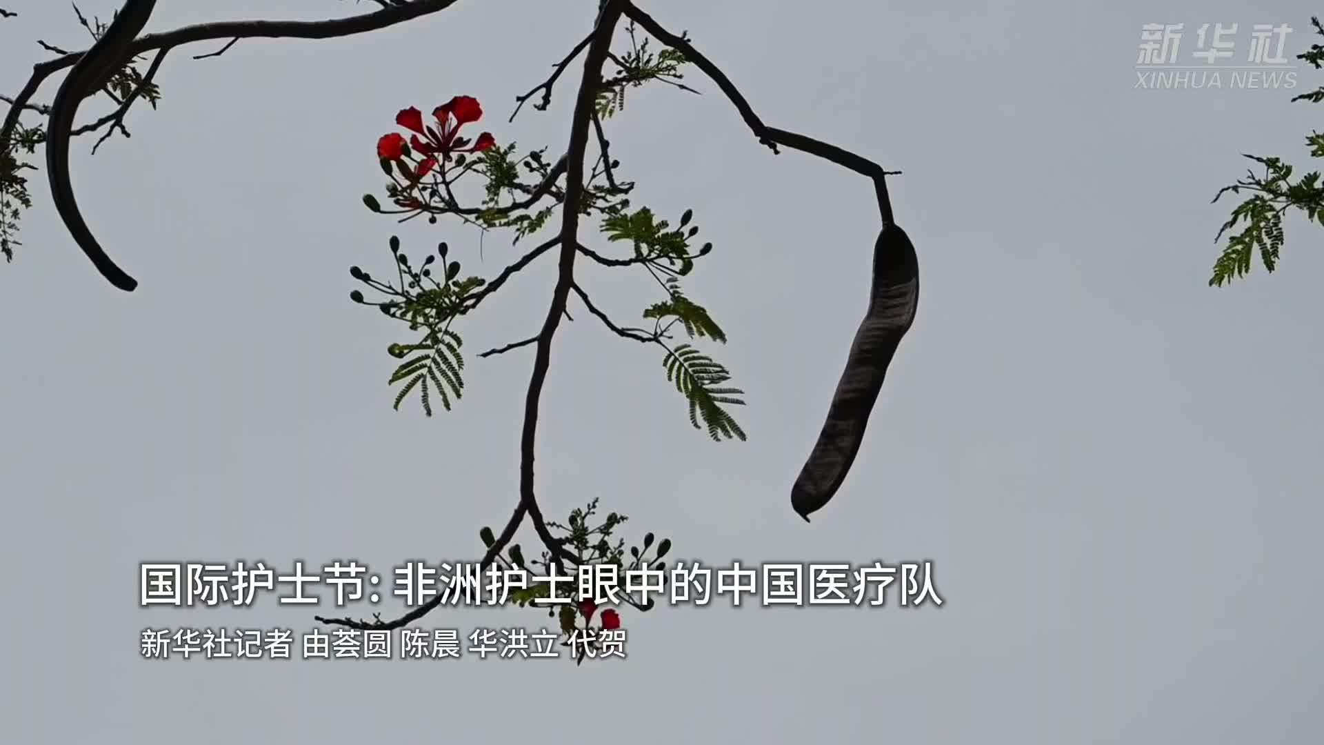 国际护士节：非洲护士眼中的中国医疗队