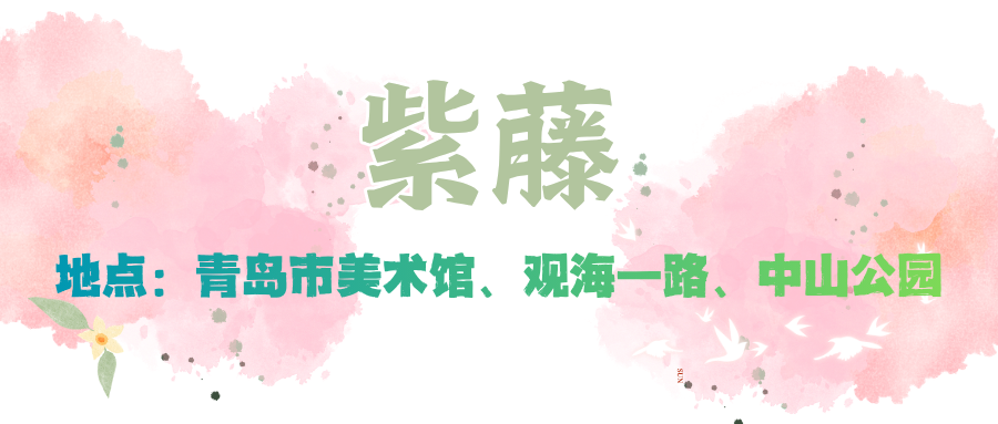 赏花季 (2).png