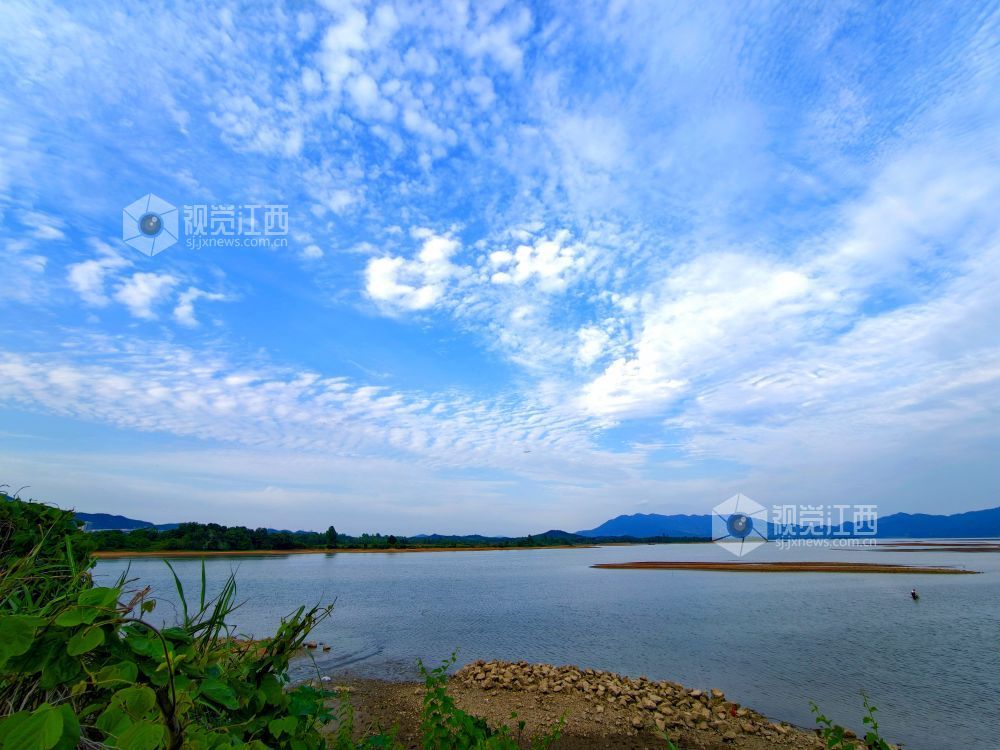 江西分宜:退水露浅滩 湖山入画来(图)