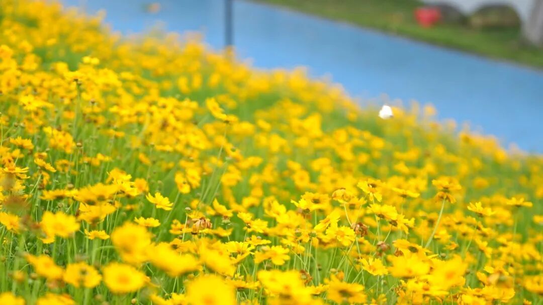 5月13日 (1)(2).jpg
