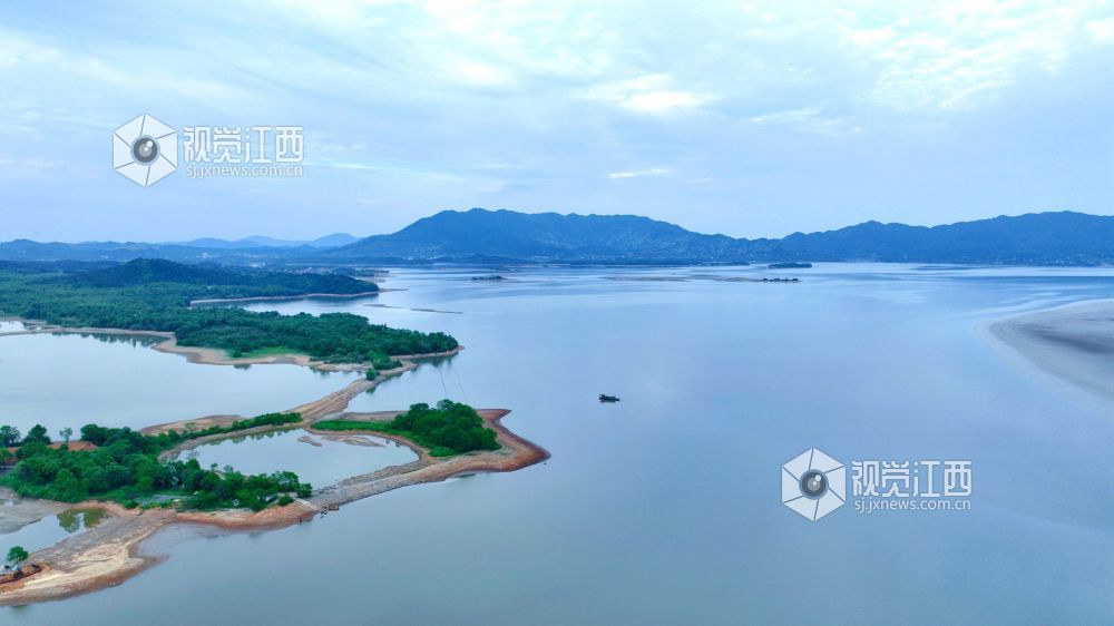 江西分宜:退水露浅滩 湖山入画来(图)