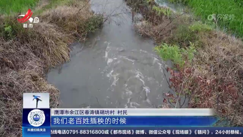 鹰潭余江：水库被投放猪粪致水体黑臭 村民多次投诉问题未改观？