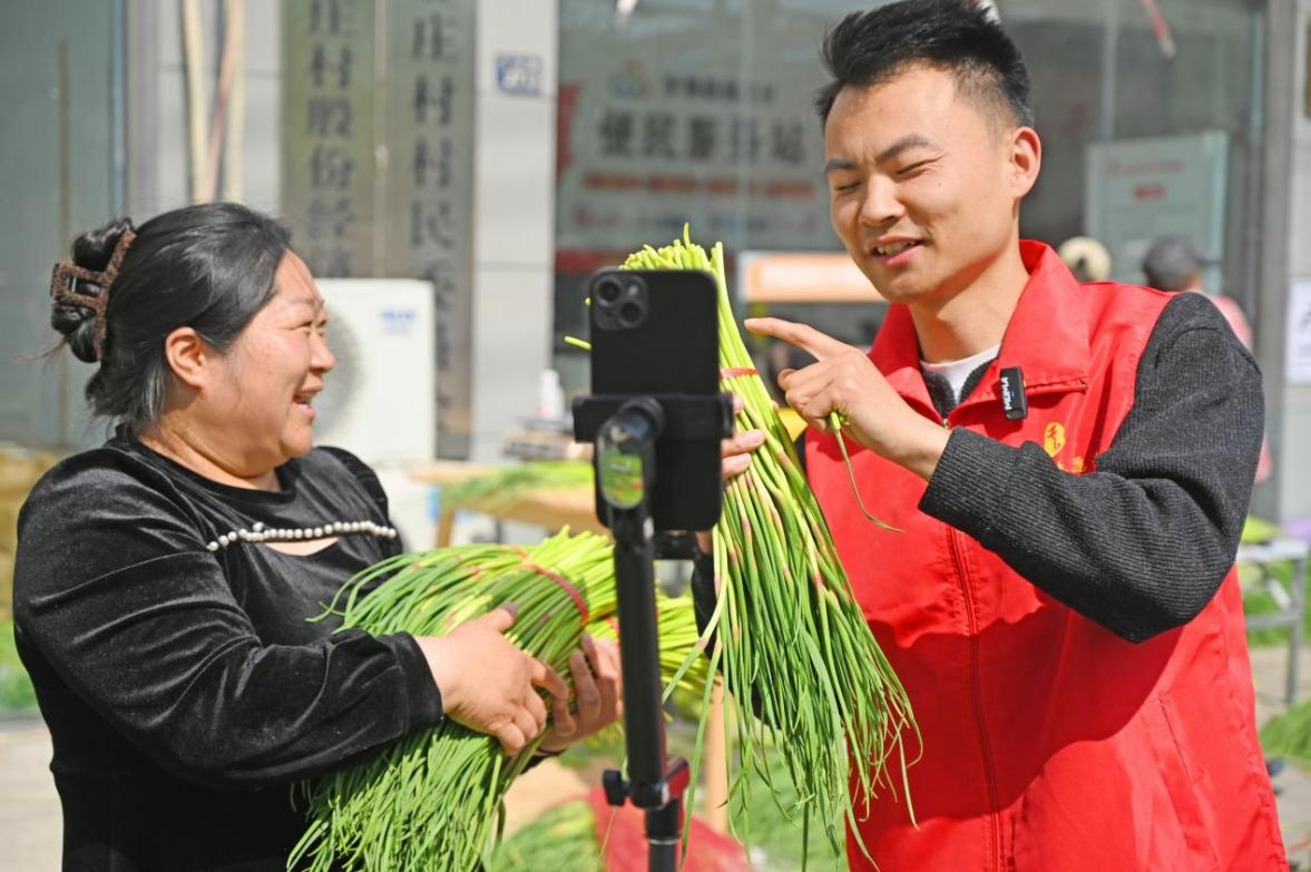 蒜薹丰产难丰收！徐州睢宁双线模式重塑农业利益链条