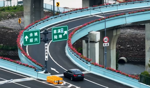 常山郭塘月季“出差”慈溪！山海协作开出共富“花路”